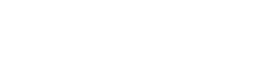 nznc logo white